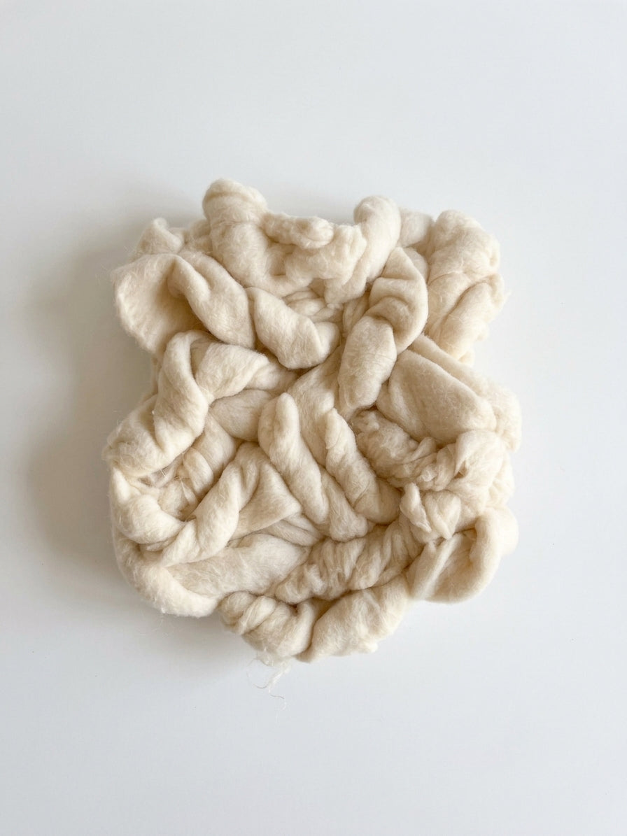 Object 02 — Felted Wool Study